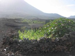 de Lisbonne au Cap Vert &raquo; Cap Vert (Clo + Steph) - S6