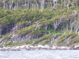 de Rio Grande à Puerto Montt &raquo; de Ushuaïa à Puerto Montt - S3