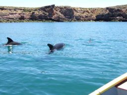 de Rio Grande à Puerto Montt &raquo; de Rio Grande à Ushuaïa - S2