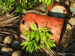 Polynésie Française &raquo; S10