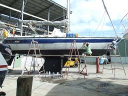 Mélanésie &raquo; Tonga &raquo; Fidji - S2