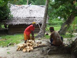 Papouasie NG &raquo; S10