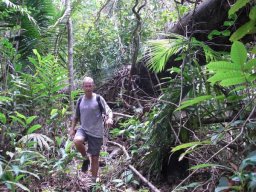 Papouasie NG &raquo; (Denis) - S7