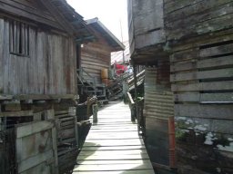 de Palau à Bornéo &raquo; Bornéo - S4