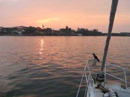 de Malacca à Aden &raquo; Sri Lanka - S1