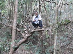 de Malacca à Aden &raquo; Thaïlande - S5